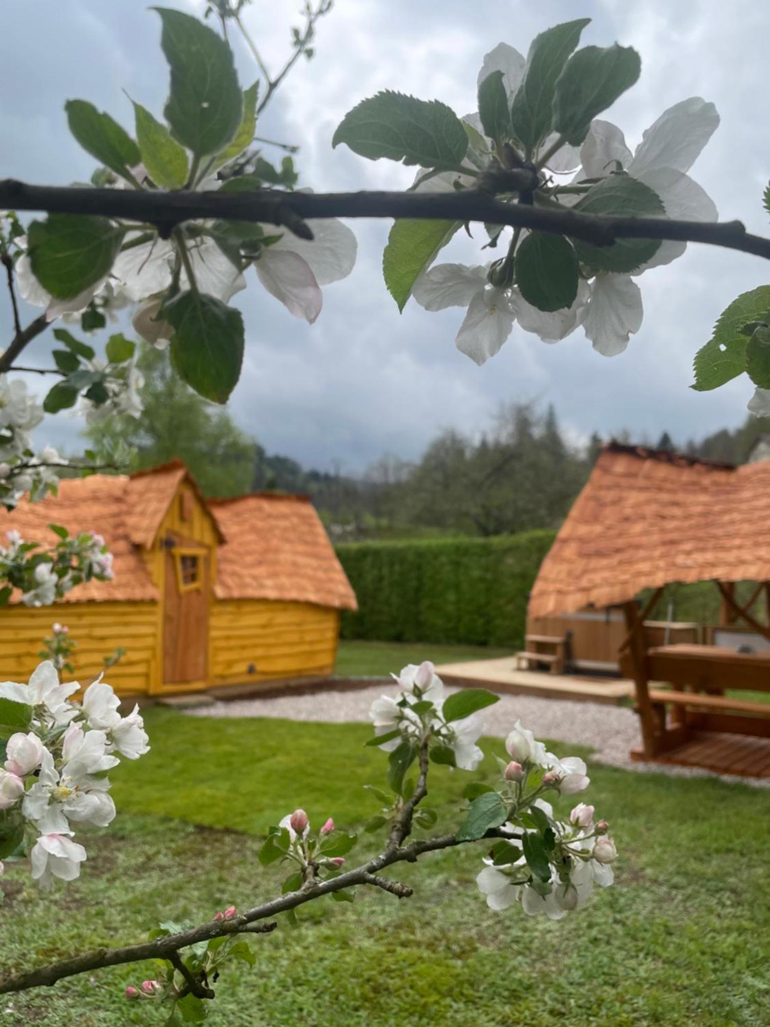 Chalet Insolite Cosy